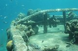 Curacao 04-12 080